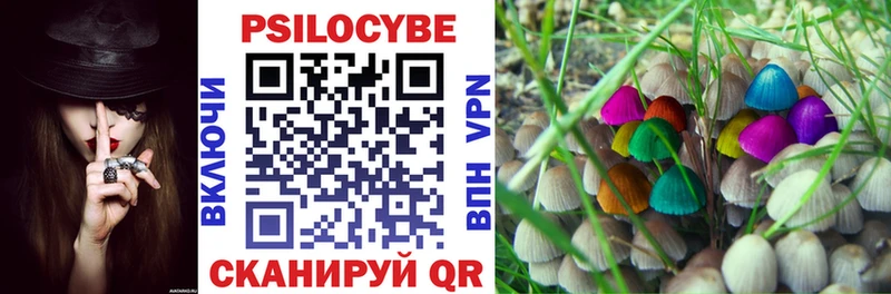 Псилоцибиновые грибы мицелий  OMG tor  Лагань 